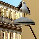 Lejlighed 2 Bedroom - Hyper Center - Kitchen - Tramway - Balcony - Air Conditioner - Wifi Nice