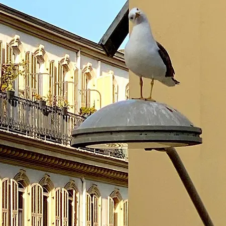 Apartment 2 Bedroom - Hyper Center - Kitchen - Tramway - Balcony - Air Conditioner - Wifi Nice