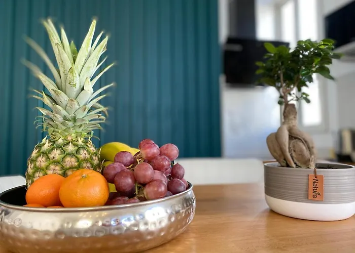 2 Bedroom - Hyper Center - Kitchen - Tramway - Balcony - Air Conditioner - Wifi Nizza